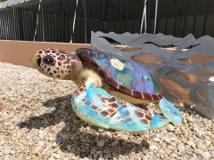 Completed Turtle